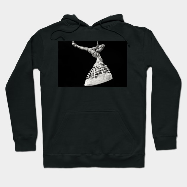 The Bell of the Ball Hoodie by MGBradford